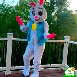 Conejo sorpresa 
