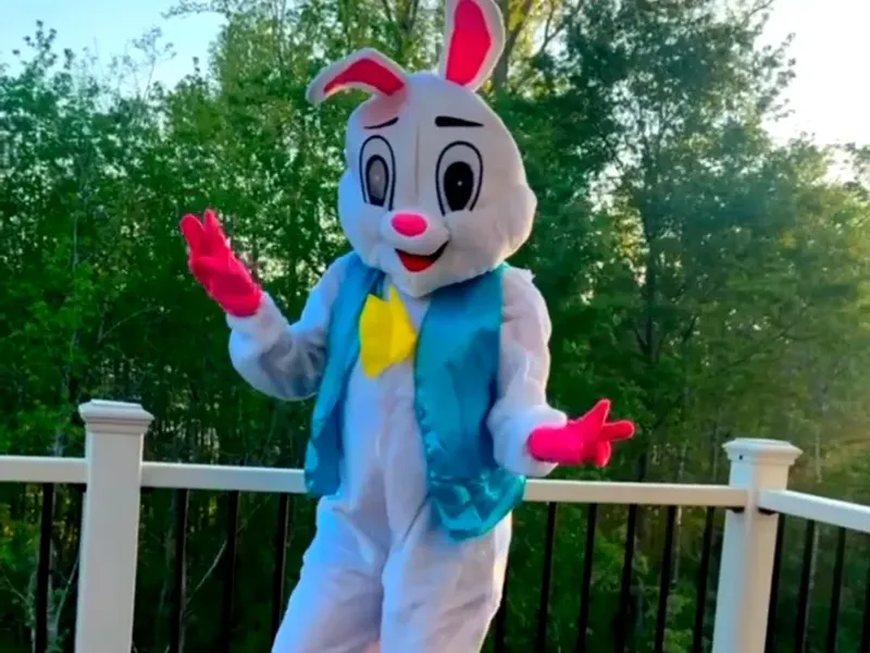🐰CONEJO SORPRESA🐰
