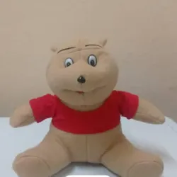 Oso de peluche 