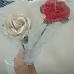 Rosas eternas 