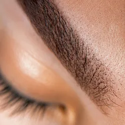 Powder Brows