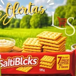 SaltiBlcks 