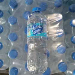 Agua natural Planeta Azul Pet 0.5L 
