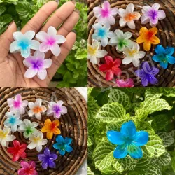 *Pellizcos Hawaianos* 🌺
