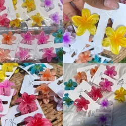 *Set de Pellizcos Hawaianos* 🌺