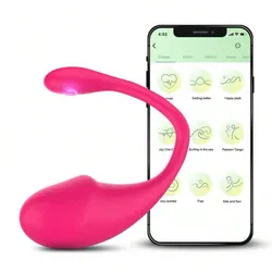 Vibrador con control remoto