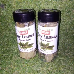 HOJAS DE LAUREL