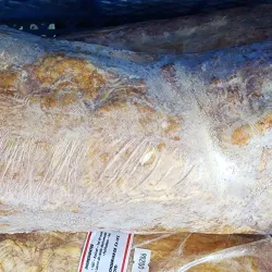 LOMO DE CERDO AHUMADO