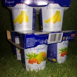 YOGURT DE VASITO