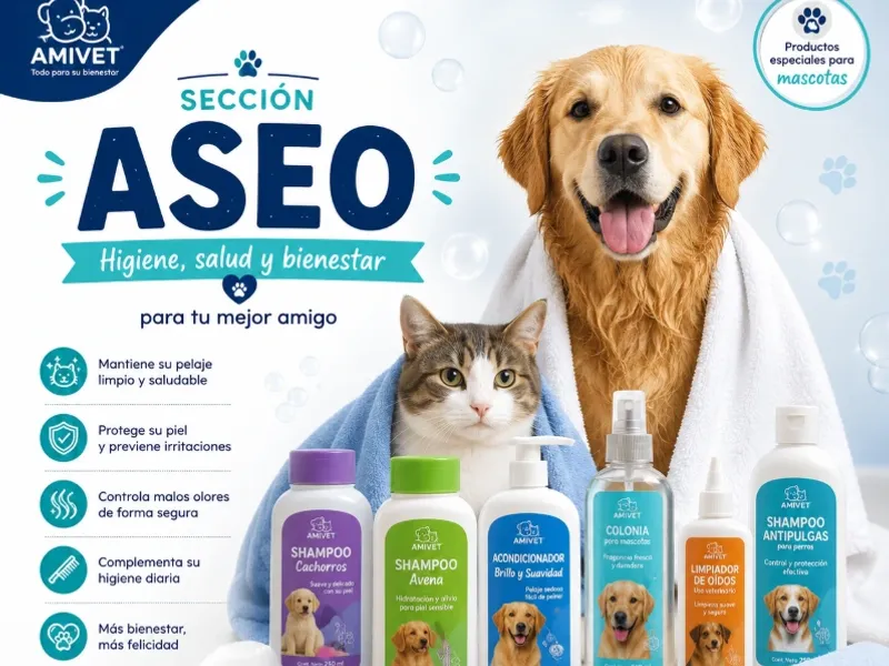 Aseo