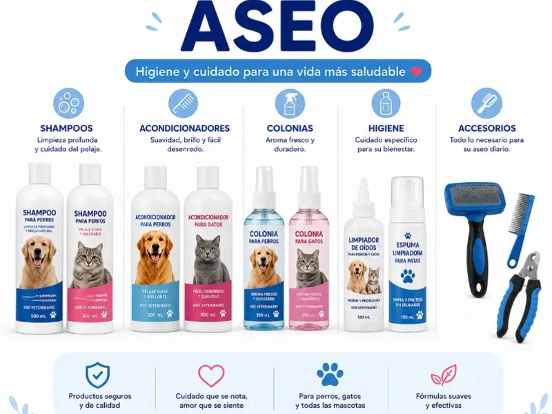 Aseo