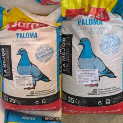 Pienso para Palomas