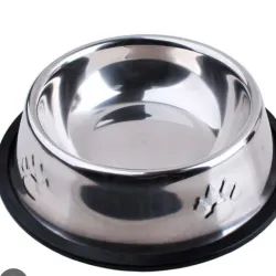 Plato Acero inoxidable