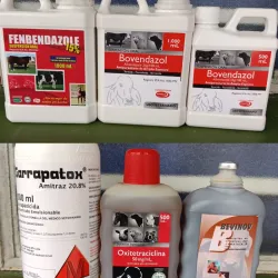 Producto Veterinario