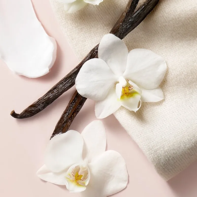 BARE VANILLA Crema