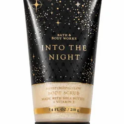 INTO THE NIGHT