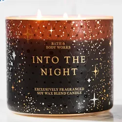 INTO THE NIGHT