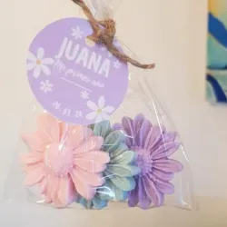 Bolsa de 3 margaritas