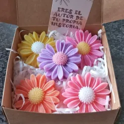 Caja con 5 margaritas