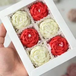 Caja con 6 Peonias cerradas