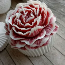 Peonia en molde
