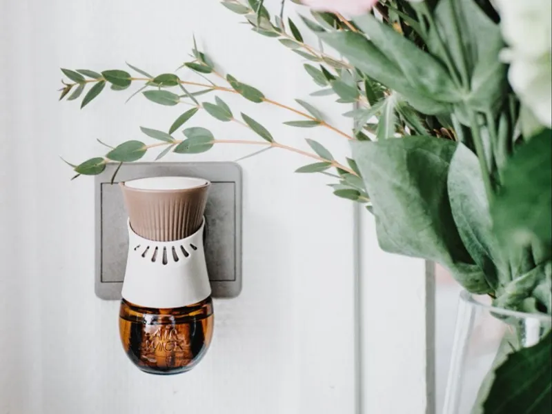 Olores para la Casa🏠 y Carros🚙