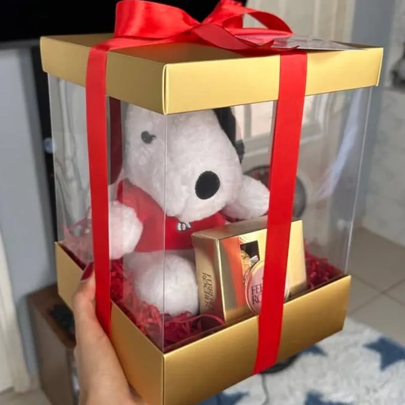 Caja encapsulada 📌