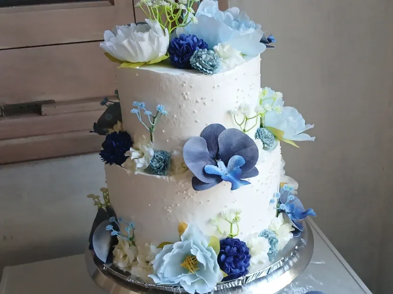 Formatos de cakes de pisos