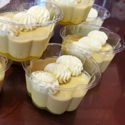 Semifrios de gelatina y leche evaporada diferentes sabores en sus envases 9 onzas