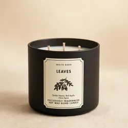 🍂 LEAVES - White Barn / Bath & Body Works 🕯️