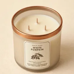🤍 WHITE PUMPKIN - White Barn