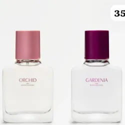 🌸 Bloom Collection – Fragancias que florecen con estilo y personalidad