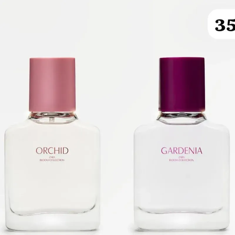 🌸 Bloom Collection – Fragancias que florecen con estilo y personalidad