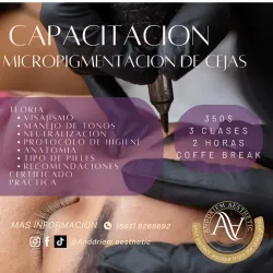 CURSO DE MICROPIGMENTACION DE CEJAS