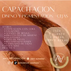  CURSO DISENO DE CEJAS