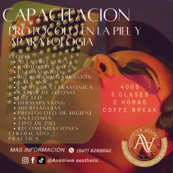 CURSO PROTOCOLOS  EN LA PIEL Y APARATOLOGIA 