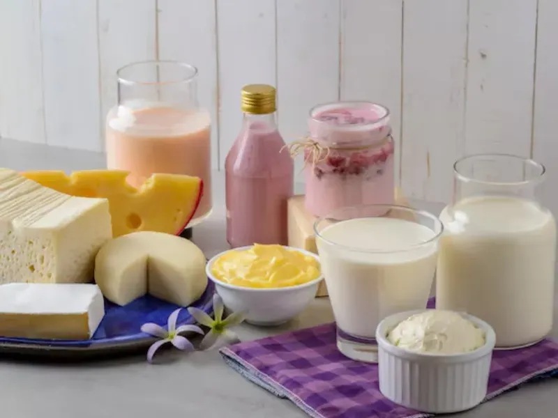 Lácteos y derivados🥛🍨🧈
