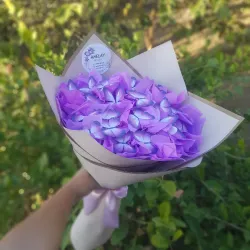 Ramo de mariposas