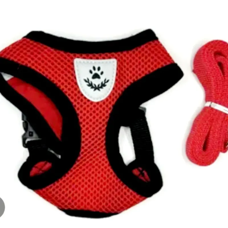 Arnes con Correa (  Talla S - M )