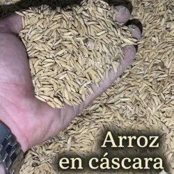 Arroz en Cáscaras para Aves