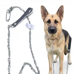 CADENAS DE ACERO PARA PERROS