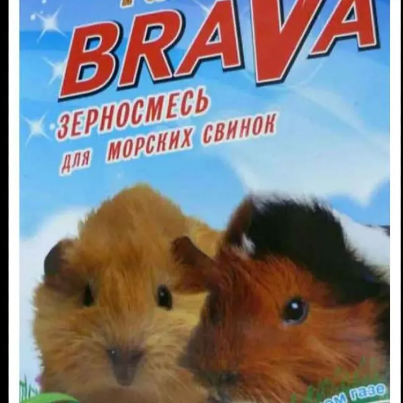Cajas de Comida para Curieles