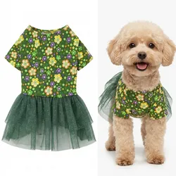 CAMISETA CHIQUITA VARIADA