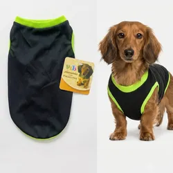 CAMISETA CHIQUITA VARIADA