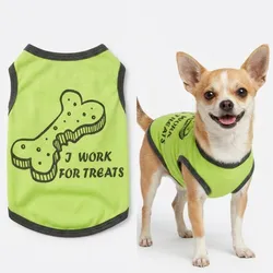CAMISETA CHIQUITA VARIADA