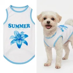 CAMISETA, TALLA, XL