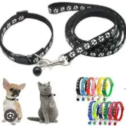 Collar con correa