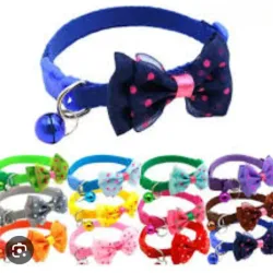 Collar con lazo para perros medianos