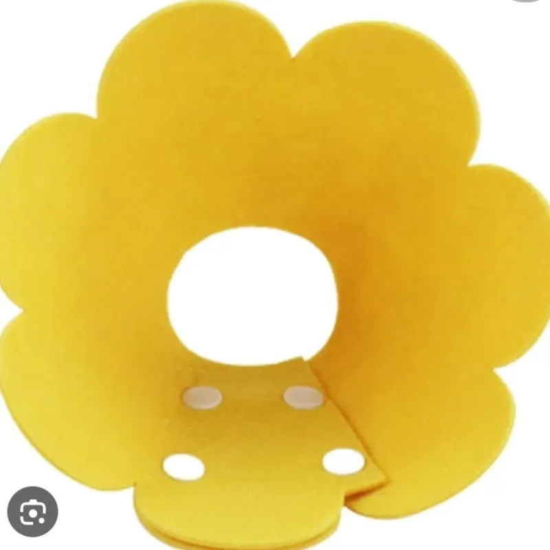 Collar Isabelino de Flor 