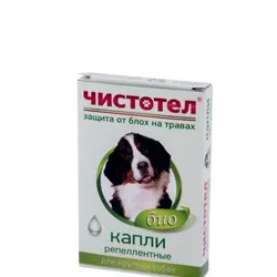 Collares AG (3 meses)